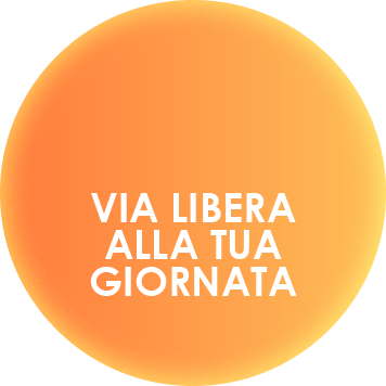 Logo Zirtec